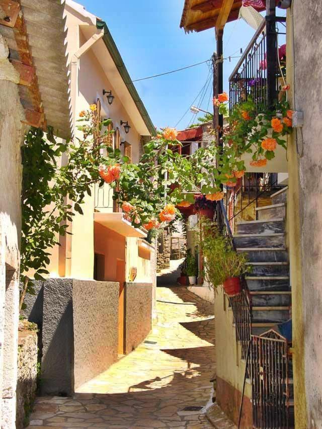 Conelli Haus Apartmán